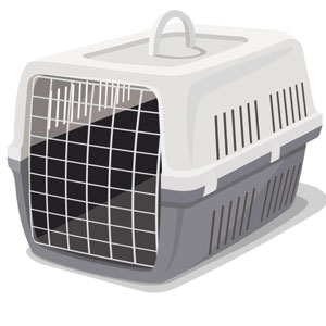 Kedi Taşıma Çantası
